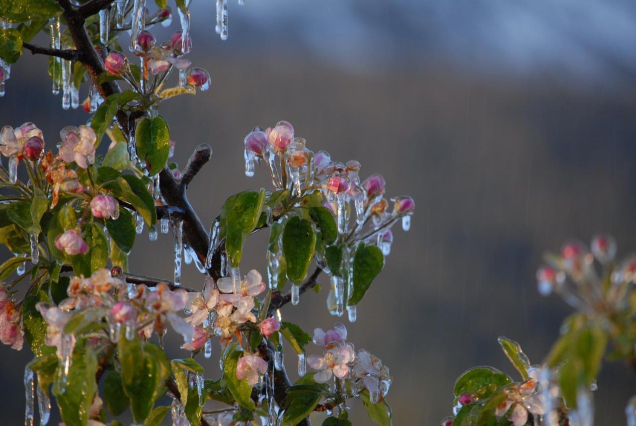 Sonnwarthof Villa ซีลันโดร ภายนอก รูปภาพ